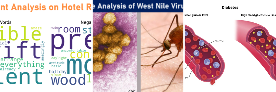 Collage: Hotel Reviews sentiment analysis, West Nile Virus prediction, and U.S. Diabetes readmission projects